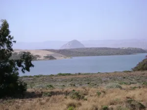 DSC03353