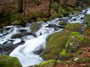 icybrookandmossyrocks1jan2012